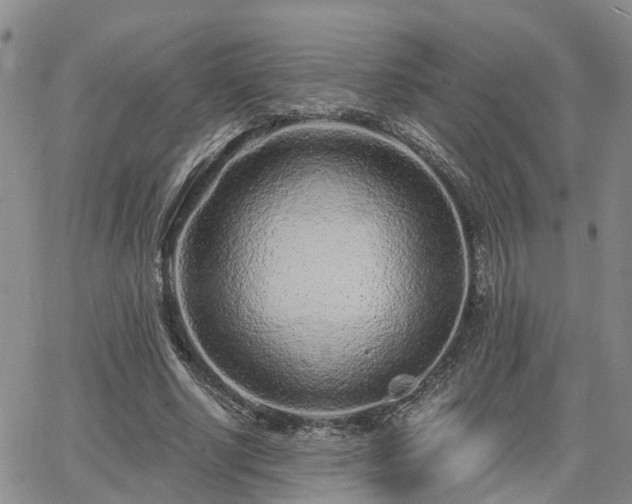 X0000063480634200601231348