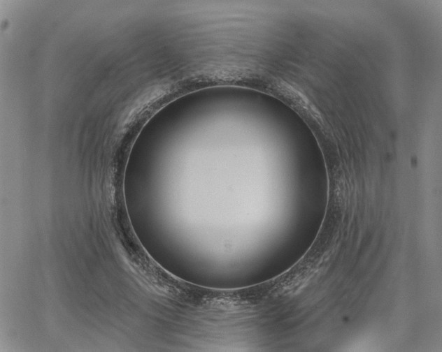 X0000063480635200601231348