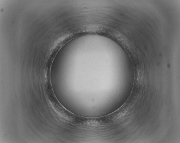 X0000063480636200601231348