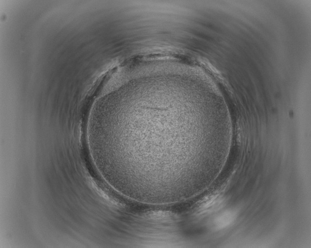 X0000063480637200601231348