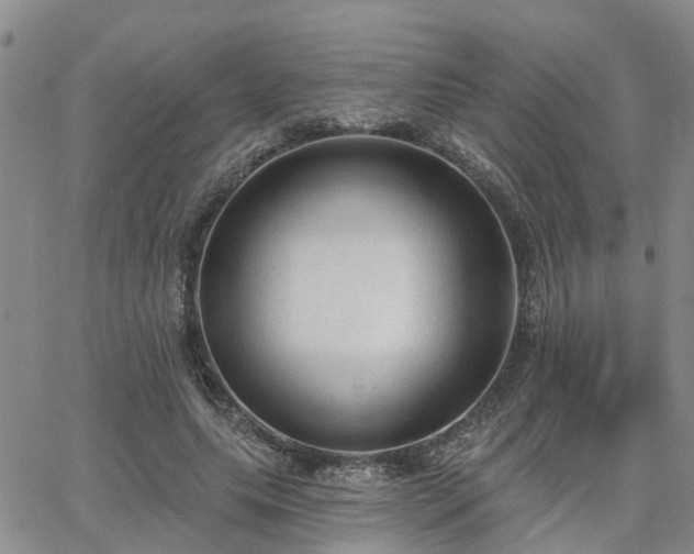 X0000063480639200601231348