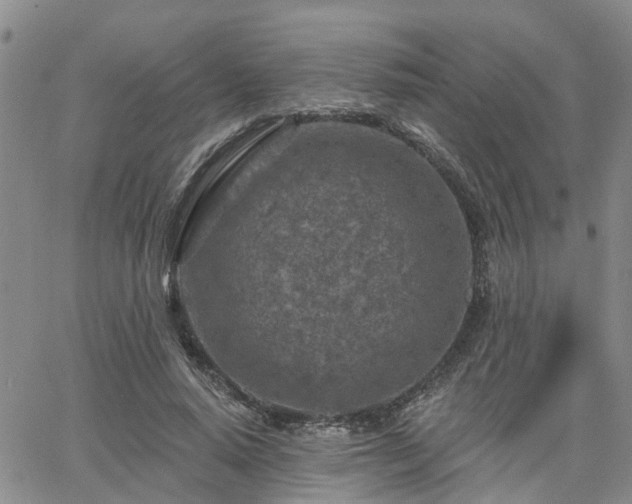 X0000063480640200601231348