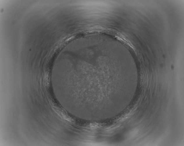 X0000063480641200601231348