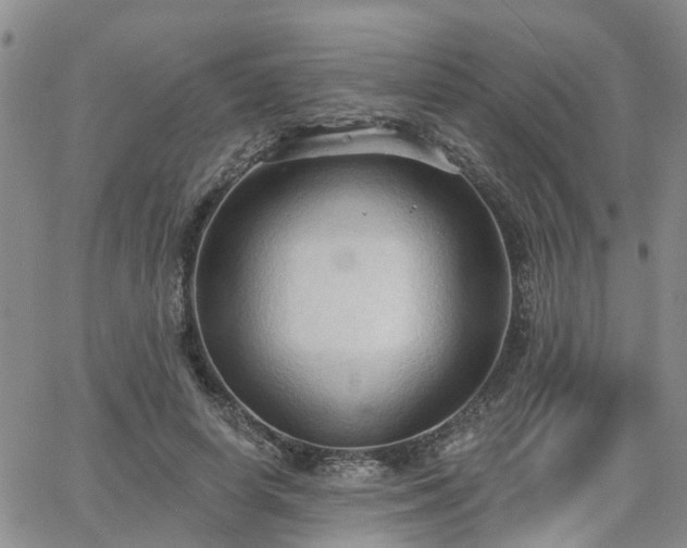 X0000063480642200601231348