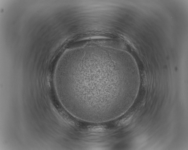 X0000063480643200601231348