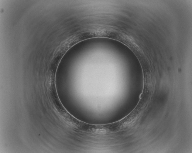 X0000063480645200601231348