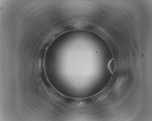 X0000063480646200601231348