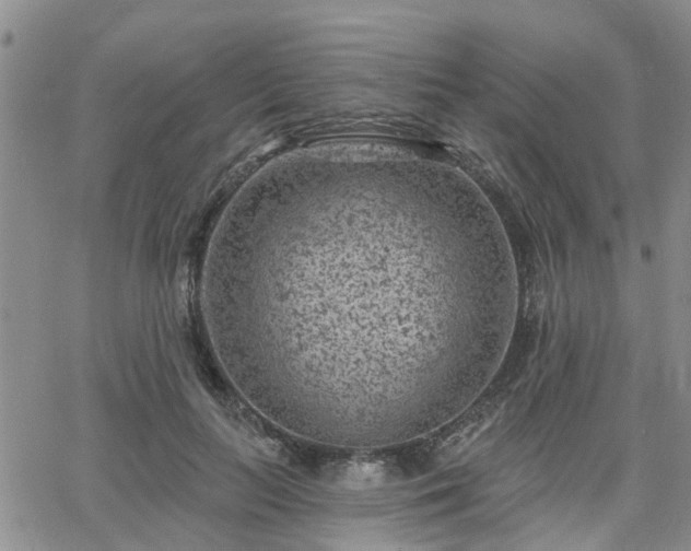 X0000063480647200601231348