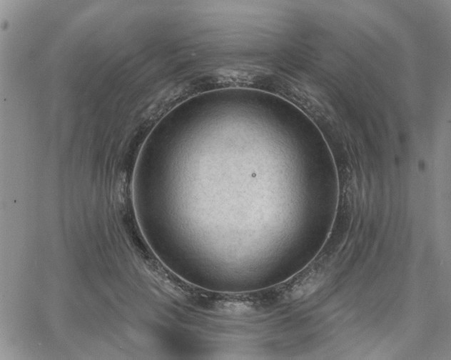 X0000063480649200601231348