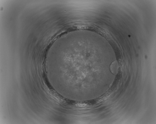 X0000063480650200601231348