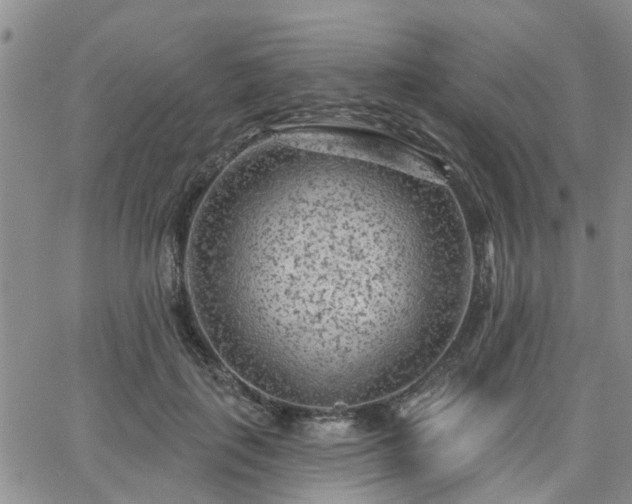 X0000063480651200601231348