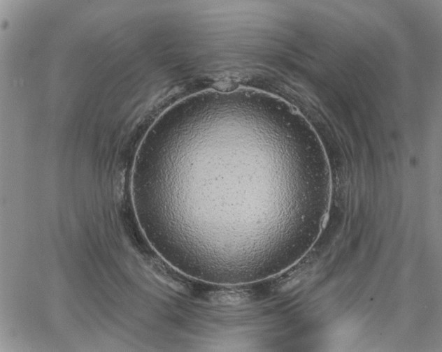 X0000063480652200601231348