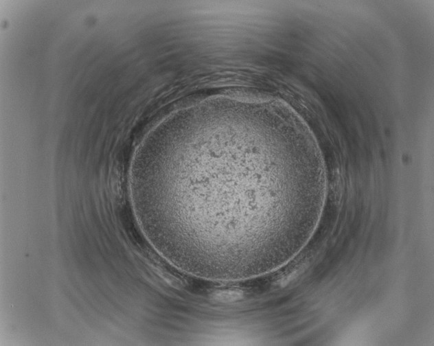 X0000063480653200601231348