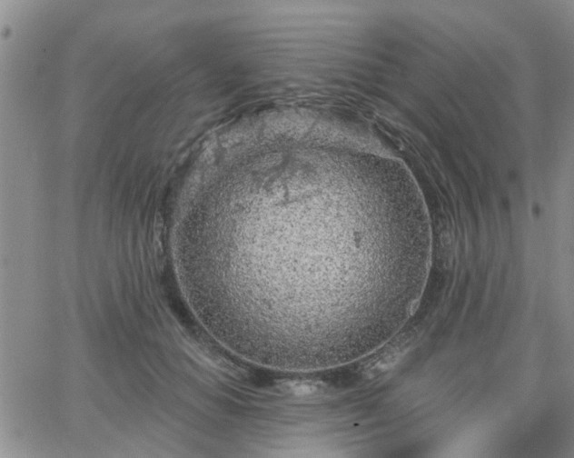 X0000063480654200601231348