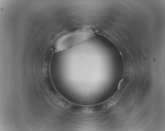 X0000063480656200601231348