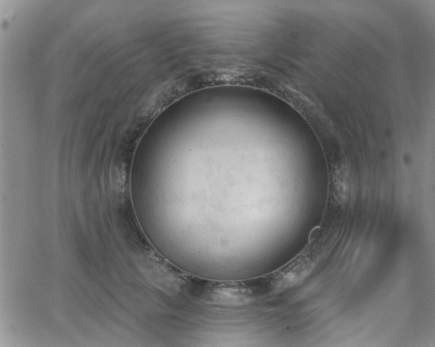 X0000063480657200601231348