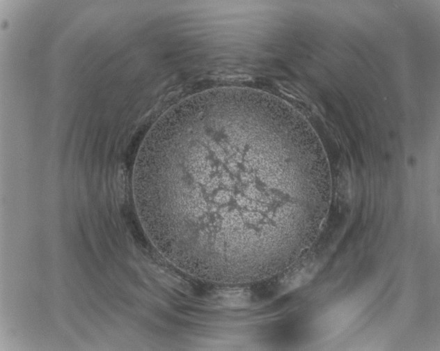 X0000063480659200601231348