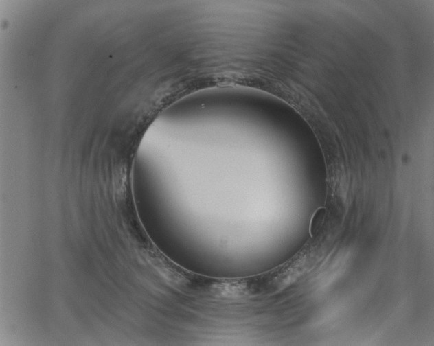 X0000063480660200601231348