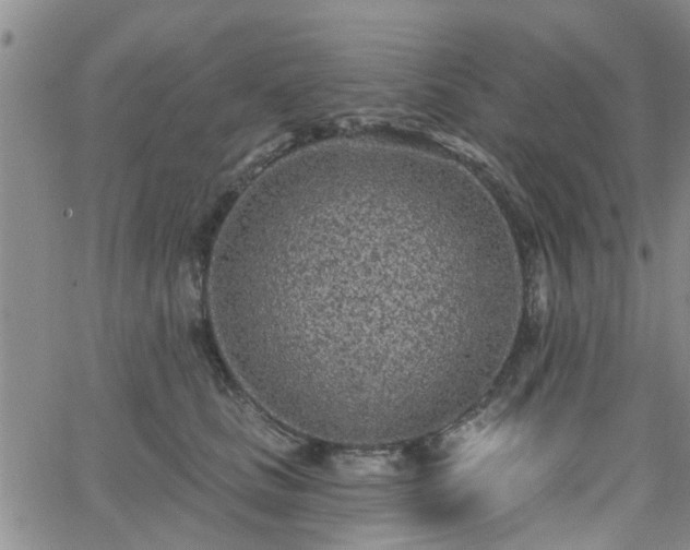 X0000063480661200601231348