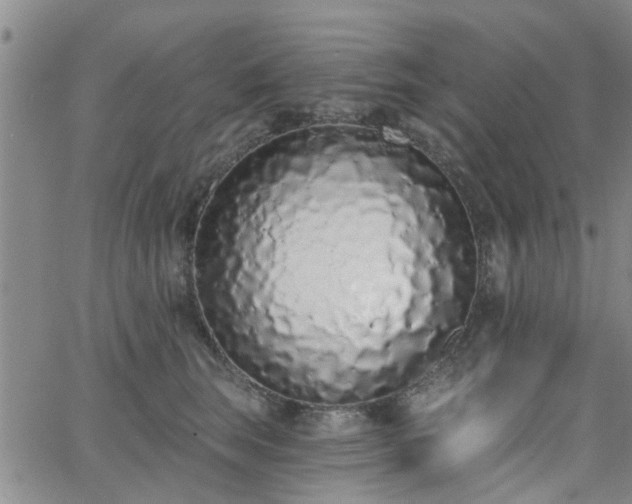 X0000063480663200601231348