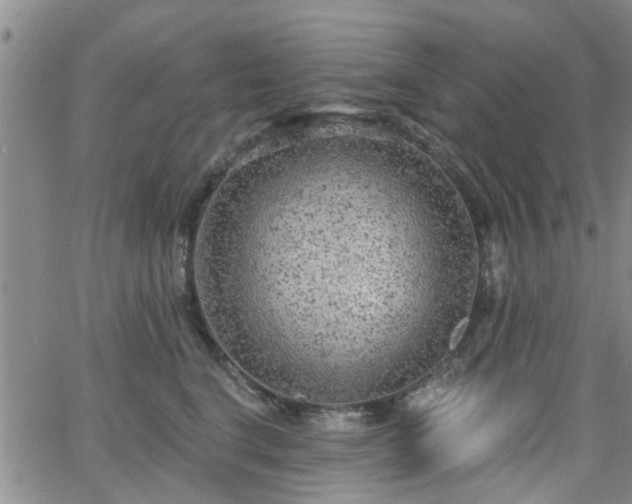 X0000063480664200601231348