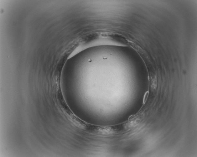 X0000063480666200601231348