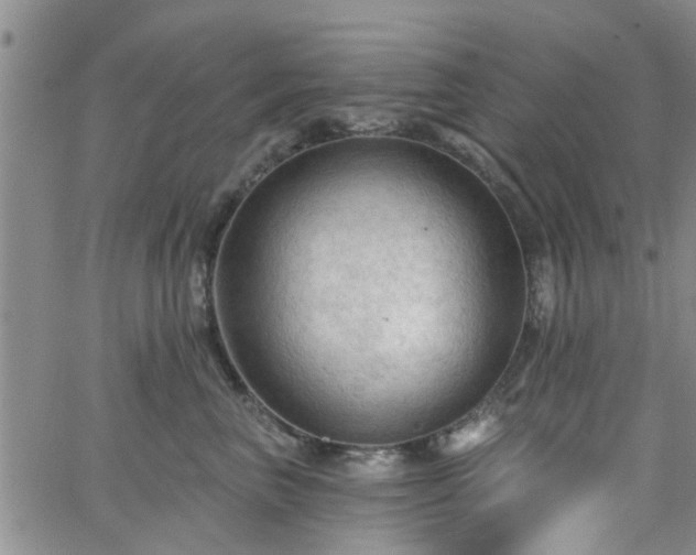 X0000063480667200601231348