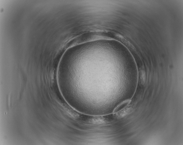 X0000063480668200601231348