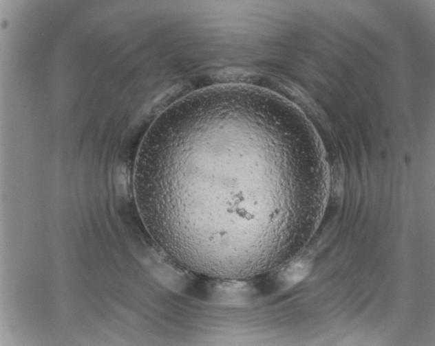 X0000063480669200601231348