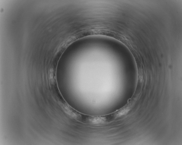 X0000063480670200601231348