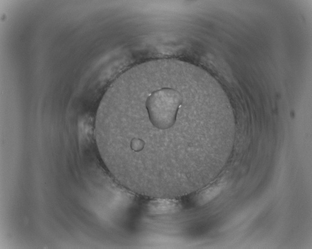 X0000063480672200601231348