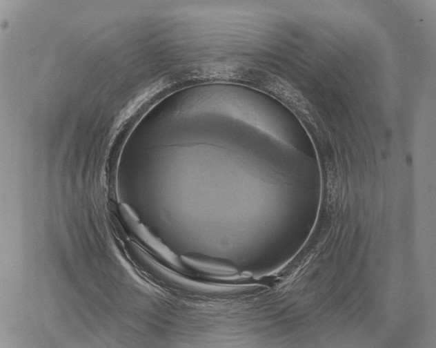 X0000063480674200601231347