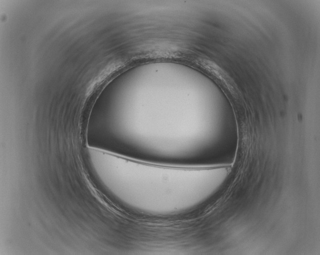 X0000063480677200601231347