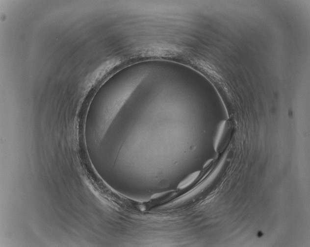 X0000063480678200601231347