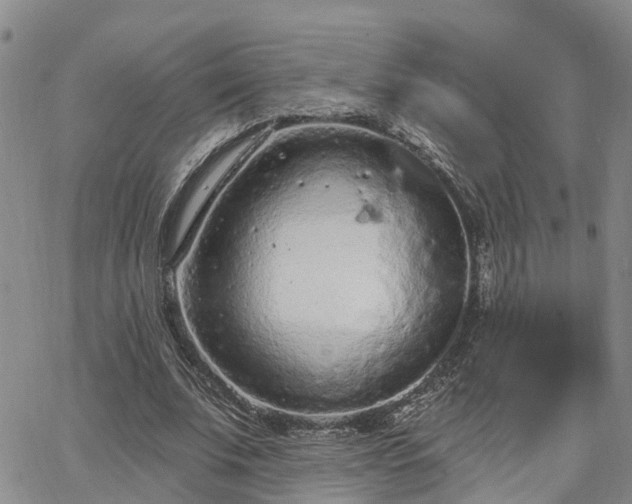 X0000063480679200601231347