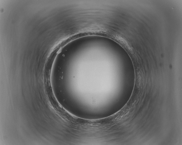 X0000063480680200601231347