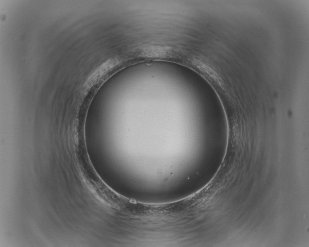 X0000063480682200601231347