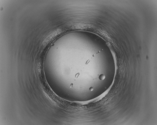 X0000063480683200601231347