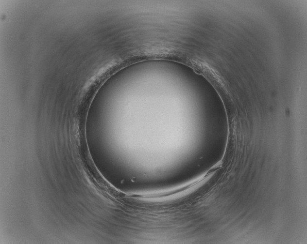 X0000063480684200601231347