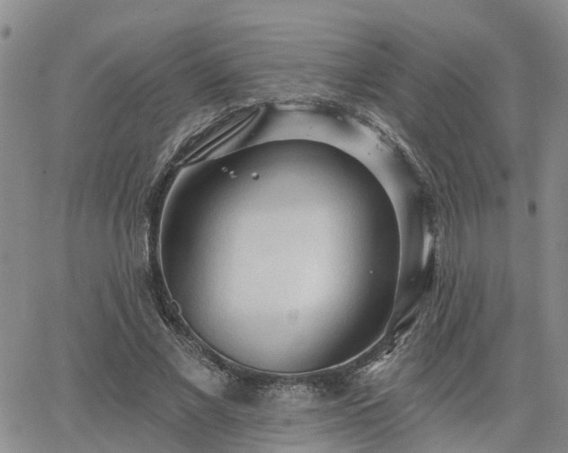 X0000063480685200601231347