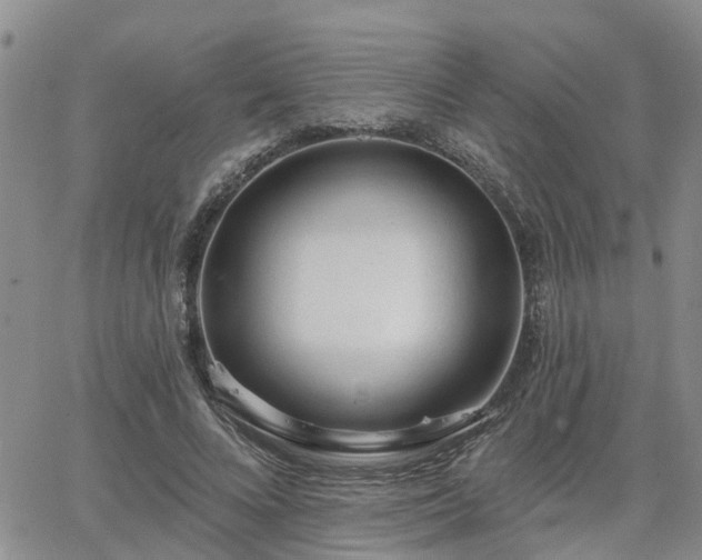 X0000063480688200601231347