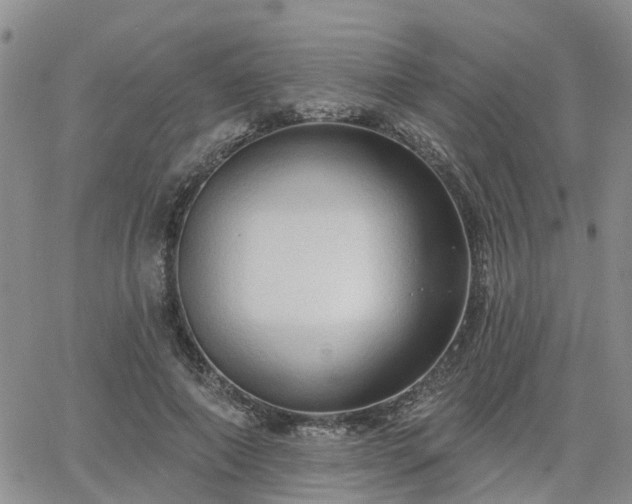 X0000063480690200601231347