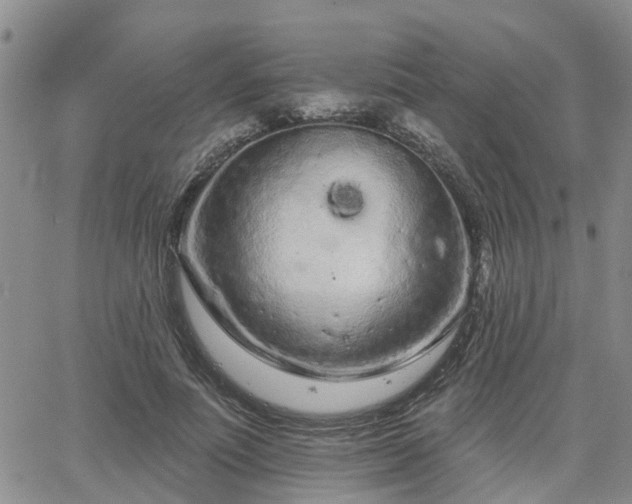 X0000063480691200601231347