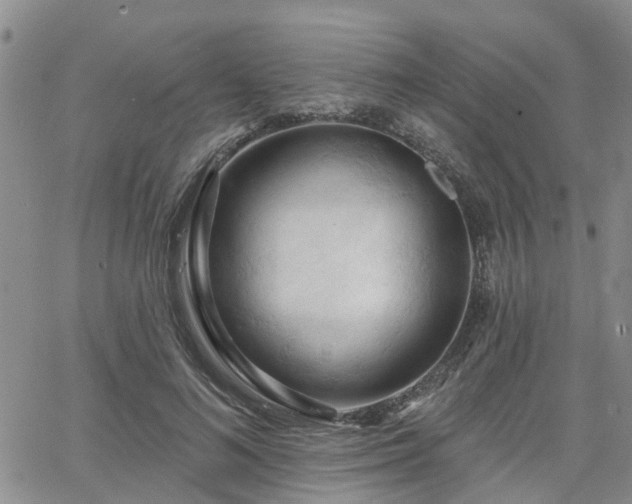 X0000063480692200601231347