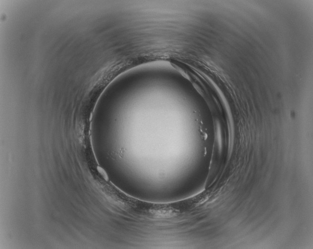 X0000063480693200601231347