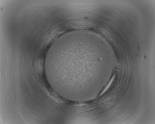 X0000063480695200601231347