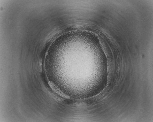 X0000063480696200601231347