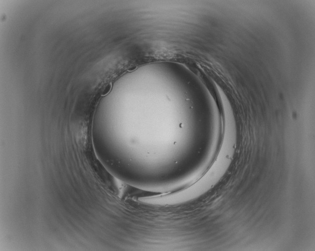 X0000063480697200601231347