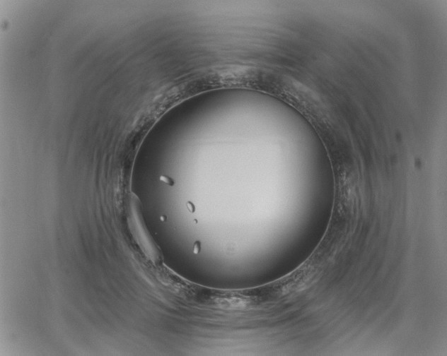 X0000063480698200601231347