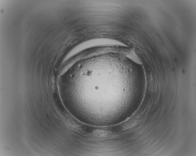 X0000063480699200601231347